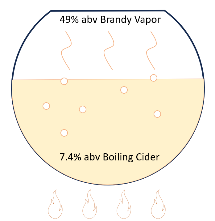 Cider diagram showing ABV percentages in the Ambix Spirit's Newtown Pippin cider: 49% ABV brandy vapor and 7.4% ABV boiling cider